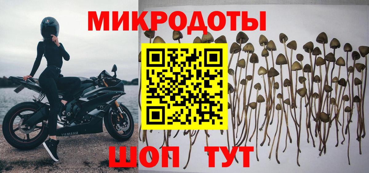 Озёры  Галлюциногенные грибы Psilocybine cubensis  Вход с VPN 