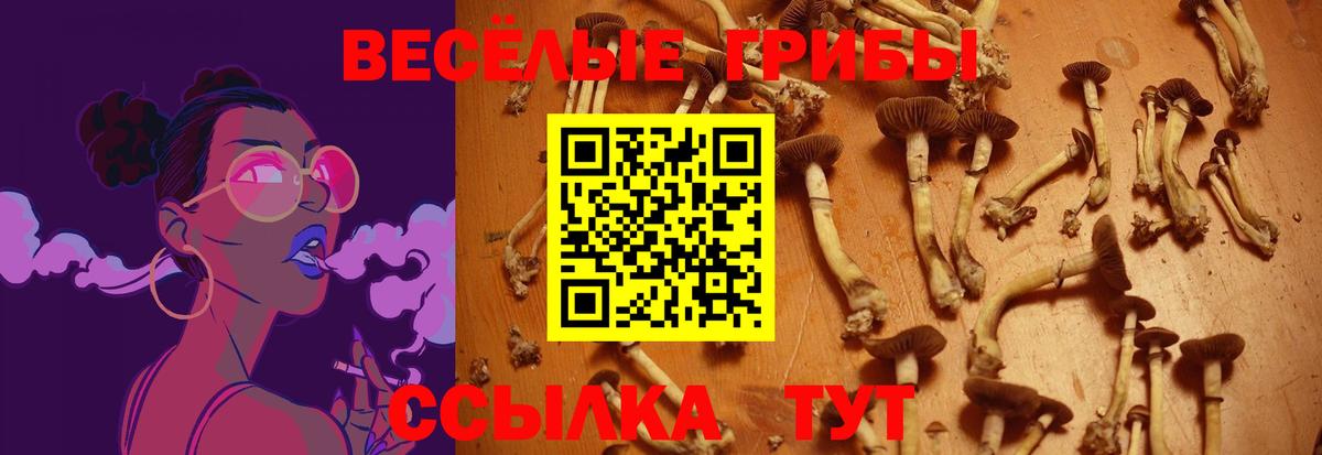 Псилоцибиновые грибы Magic Shrooms Озёры